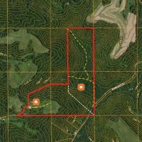New Property66 - Acre Buildable Recreational Retreat Mindoro WI La Crosse County images 4