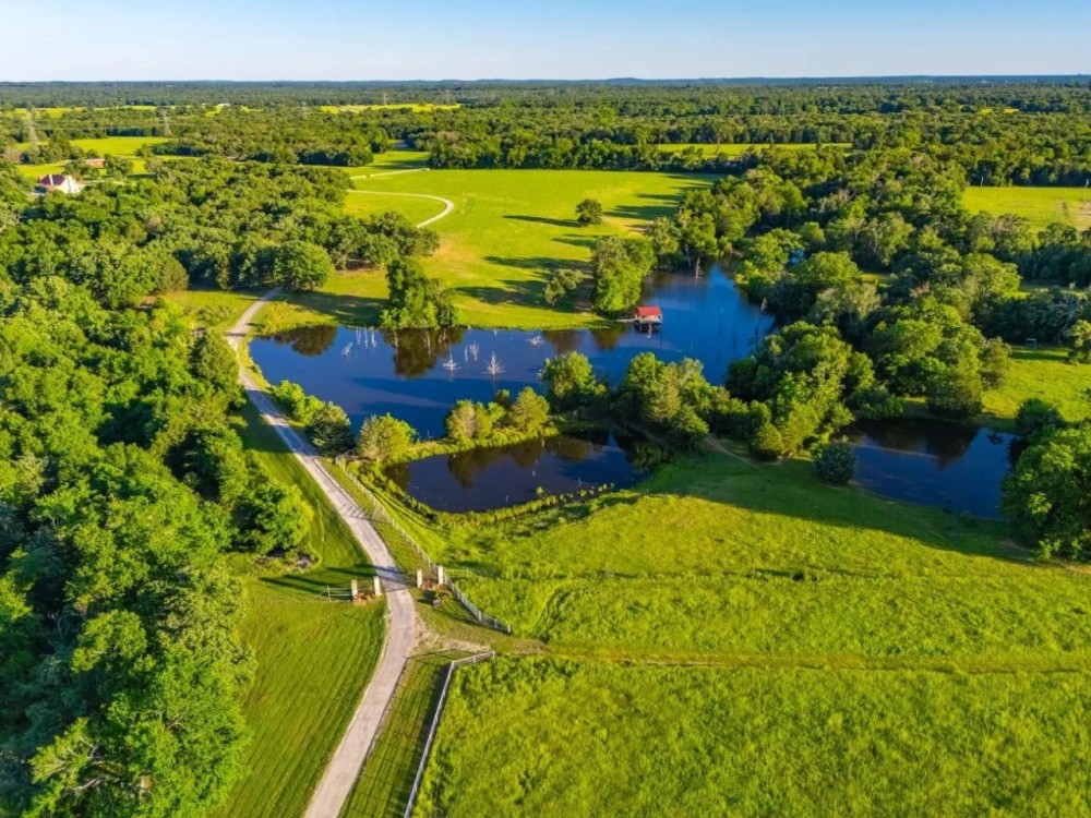 Crooked Creek Ranch featured image