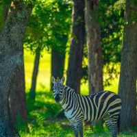 Crooked Creek Ranch images 4