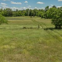 Touch of Heaven Ranch images 3