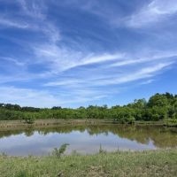 New Listing 42.69 AC Coleman County images 2