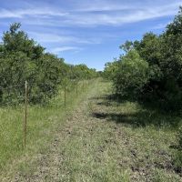 New Listing 42.69 AC Coleman County images 3