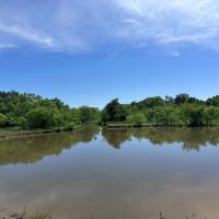 New Listing 42.69 AC Coleman County images 4