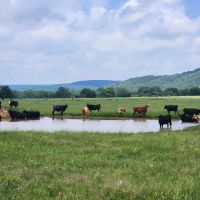 Buffalo Valley Ranch images 1