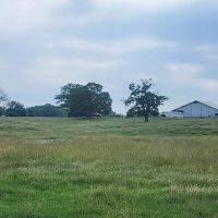 Buffalo Valley Ranch images 2