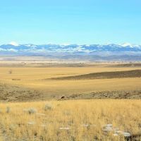 Axes Canyon Ranch images 5