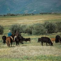 The Kuiper Ranch images 4
