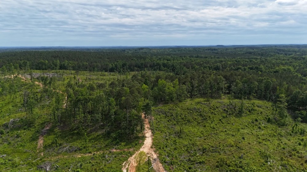 760 Acres in Lafayette County MS featured image