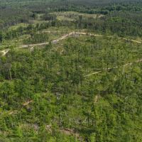 760 Acres in Lafayette County MS images 4