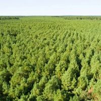 353 Acres T-25 Eliot images 2