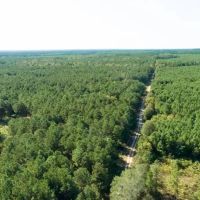 353 Acres T-25 Eliot images 5