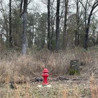 AR - Union 739 acres - images 4
