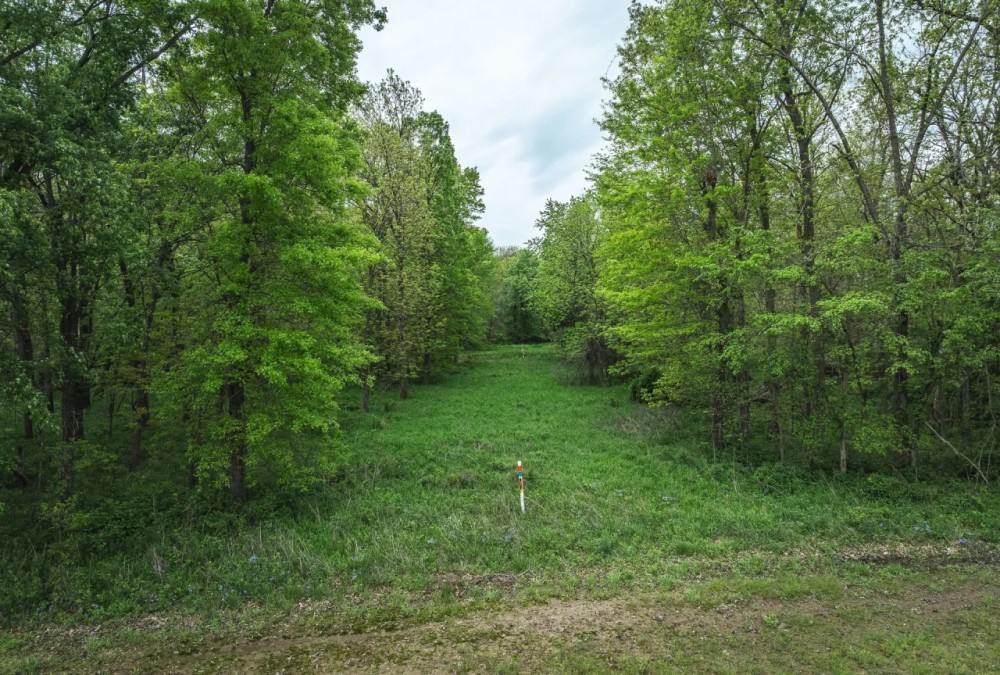 TBD CR A92 Other MO featured image