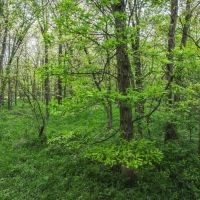 TBD CR A92 Other MO images 3