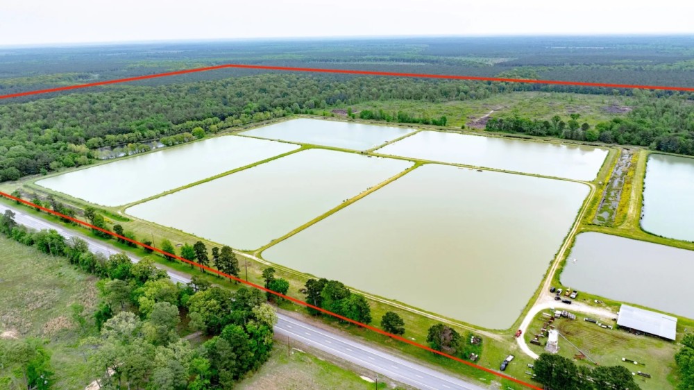 295-Acre Catfish Reserve Recreational Property in Clarksville TX featured image