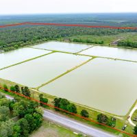 295-Acre Catfish Reserve Recreational Property in Clarksville TX