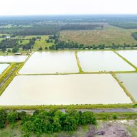 295-Acre Catfish Reserve Recreational Property in Clarksville TX images 3