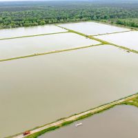 295-Acre Catfish Reserve Recreational Property in Clarksville TX images 4