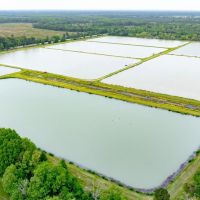295-Acre Catfish Reserve Recreational Property in Clarksville TX images 5