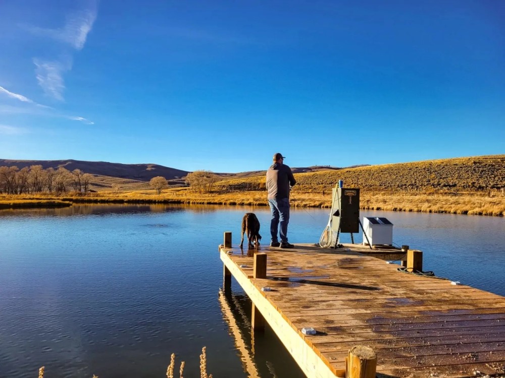 Quartz Creek Ranch featured image