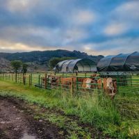Quartz Creek Ranch images 5
