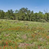 TBD Ranch Rd 386 Mason TX 76856 images 2