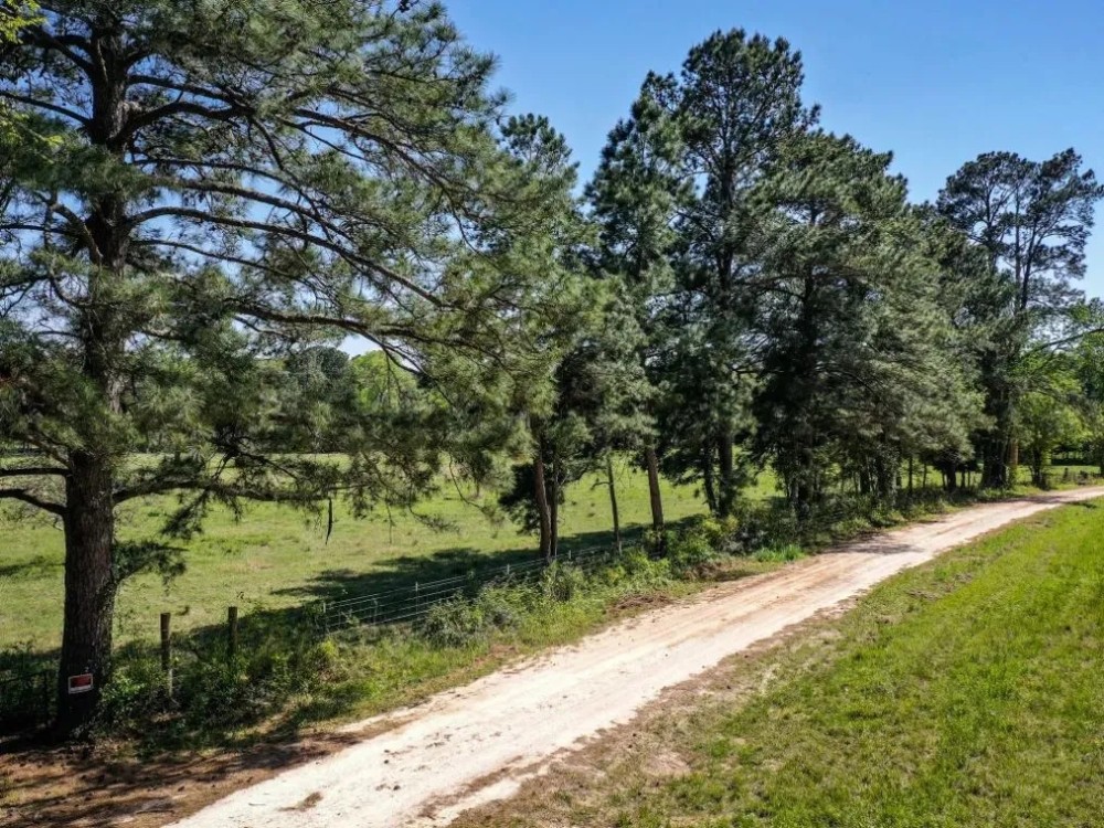 11 Acres Creek Pastures - 11 Acres Black Jack Rd Walker County TX featured image