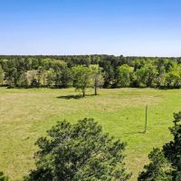11 Acres Creek Pastures - 11 Acres Black Jack Rd Walker County TX images 2
