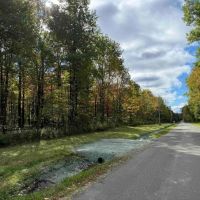 Building Lot and Hunting Land 5 acres across from State Land in Gerry NY Herrick Rd