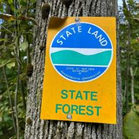 Building Lot and Hunting Land 5 acres across from State Land in Gerry NY Herrick Rd images 4