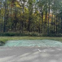 Building Lot and Hunting Land 5 acres across from State Land in Gerry NY Herrick Rd images 5