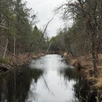103 acre timber tract in Juneau County s Town of Necedah