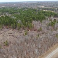 103 acre timber tract in Juneau County s Town of Necedah images 2