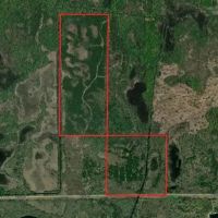 103 acre timber tract in Juneau County s Town of Necedah images 3