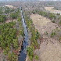 103 acre timber tract in Juneau County s Town of Necedah images 5