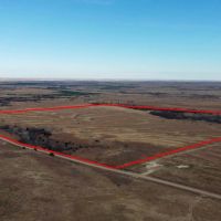 Graham Co. Kansas Premium Deer Hunting Land For Sale images 2