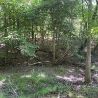 -9.4 Acres on Lincoln Road Lot 2 in Gray Court SC images 2