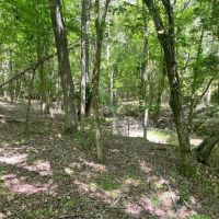 -9.4 Acres on Lincoln Road Lot 2 in Gray Court SC images 3