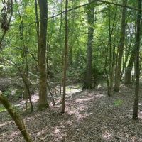 -9.4 Acres on Lincoln Road Lot 2 in Gray Court SC images 4