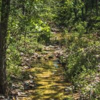 Rock Shelter Ranch images 4