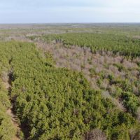 Juneau County 76 - Acre Parcel images 2