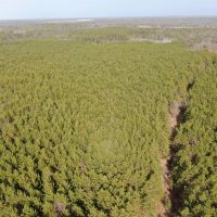 Juneau County 76 - Acre Parcel images 3