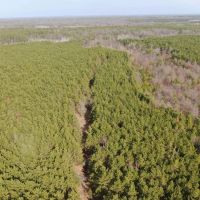 Juneau County 76 - Acre Parcel images 4