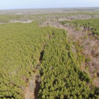 Juneau County 76 - Acre Parcel images 5