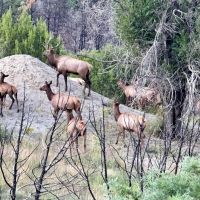Santillanes Creek Ranch images 3