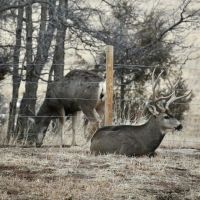 Santillanes Creek Ranch images 5