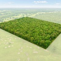 24 Acre Hunting and Recreational Land For Sale Blossom TX