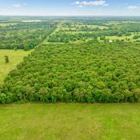 24 Acre Hunting and Recreational Land For Sale Blossom TX images 4