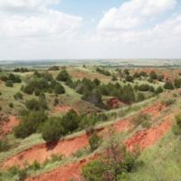 Guided and Semi-Guided Hunts. On 12,000+ acres of Western Oklahoma Private Land.