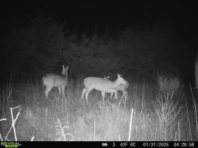 Nemaha 90 - Acres featured image